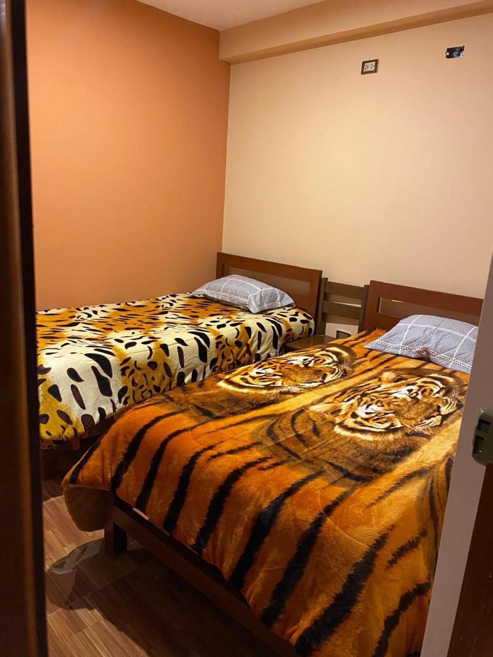 Aventura Chachapoyas Backpackers Hostel Luaran gambar