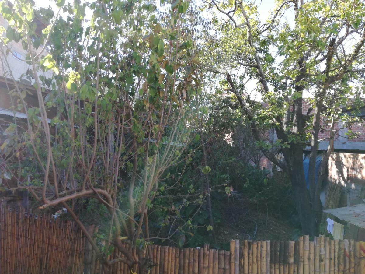 Aventura Chachapoyas Backpackers Hostel Luaran gambar